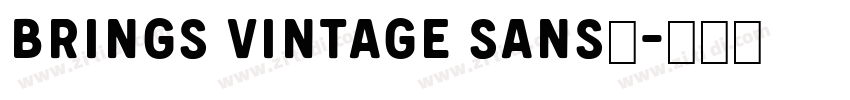 brings vintage sans字字体转换
